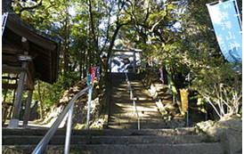 唐沢山神社